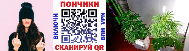 Купить ГАШИШ  Каннабис  КОКАИН  Меф  Теберда