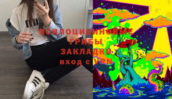 стафф Осташков