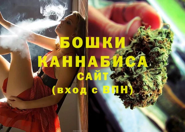 стафф Осташков