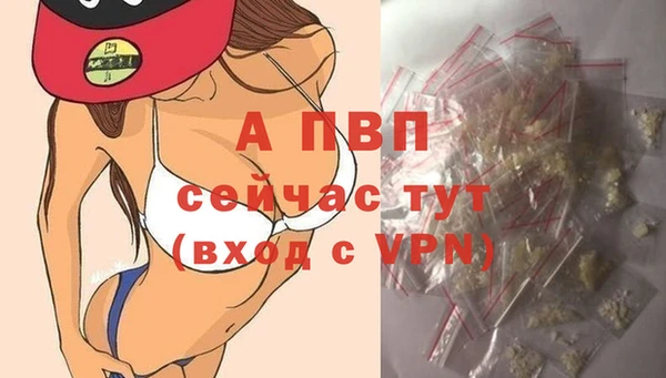индика Переславль-Залесский