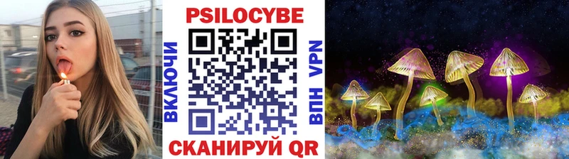 Псилоцибиновые грибы Psilocybe  Купить где  Теберда 